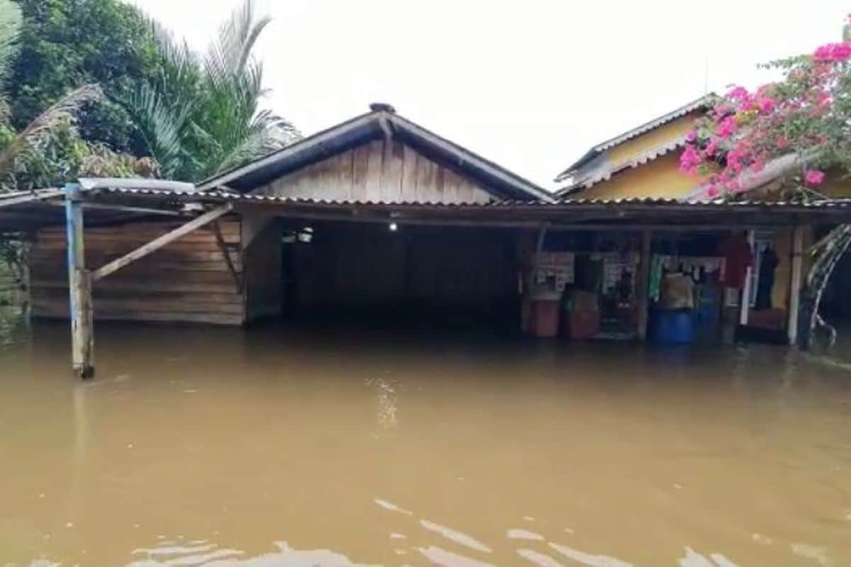 Banjir rendam puluhan rumah di Kabpaten Sambas. (Foto: Dok. Int)