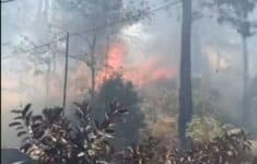 Kebakaran hutan Pinus Gowa beberapa waktu lalu. (Foto: Dok. Warga)